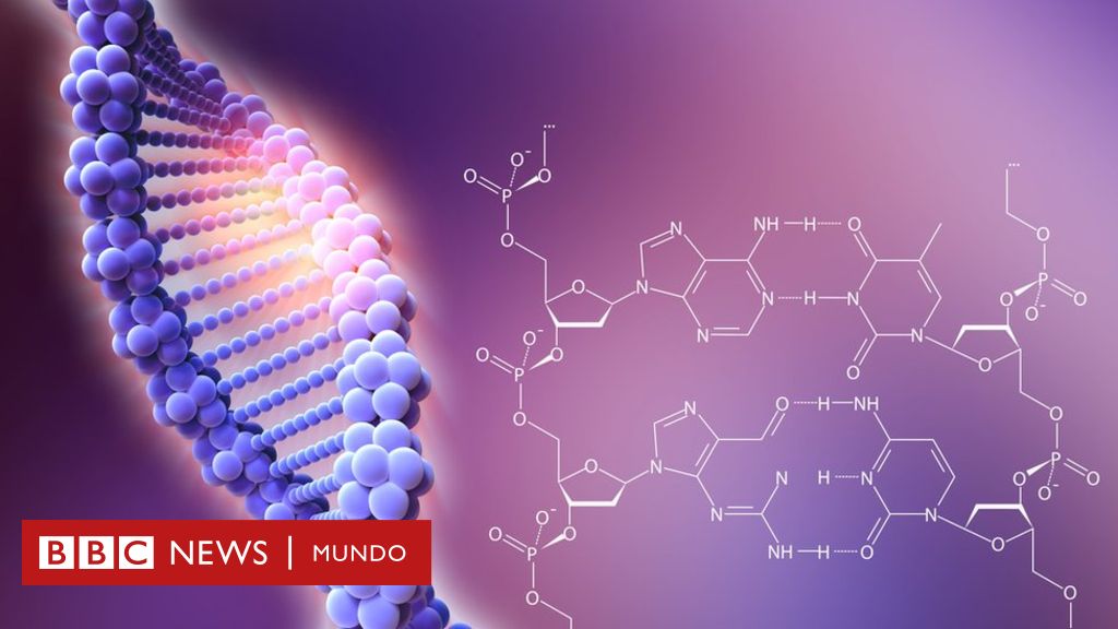 CRISPR: Aplicaciones de edición genética