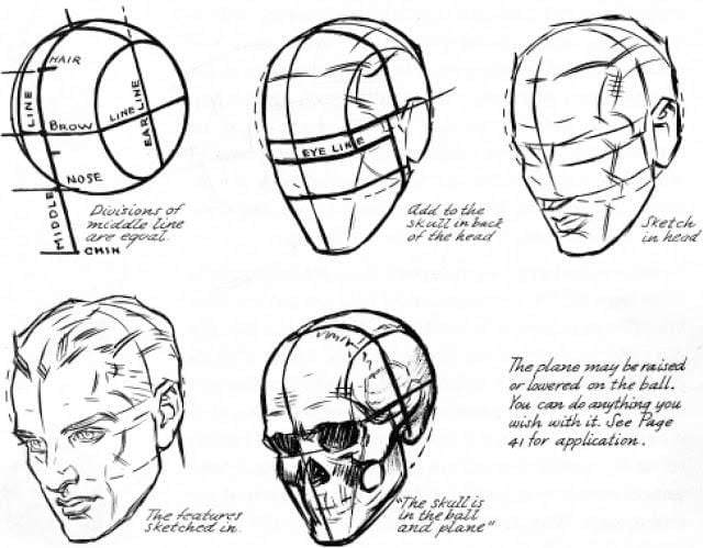 Métodos para dibujar la cabeza humana